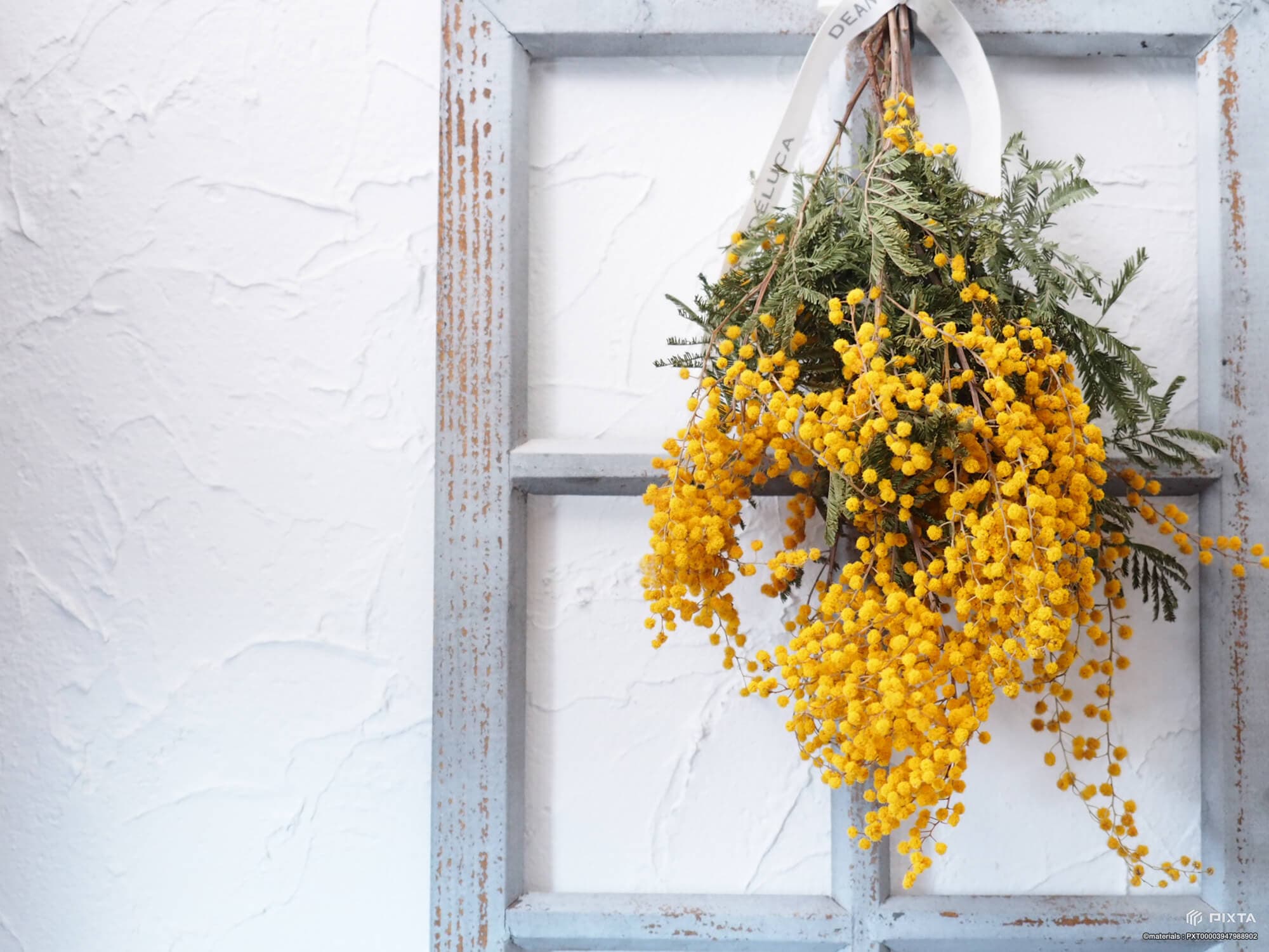 綾瀬の美容室LEMONadeのミモザのドライフラワー